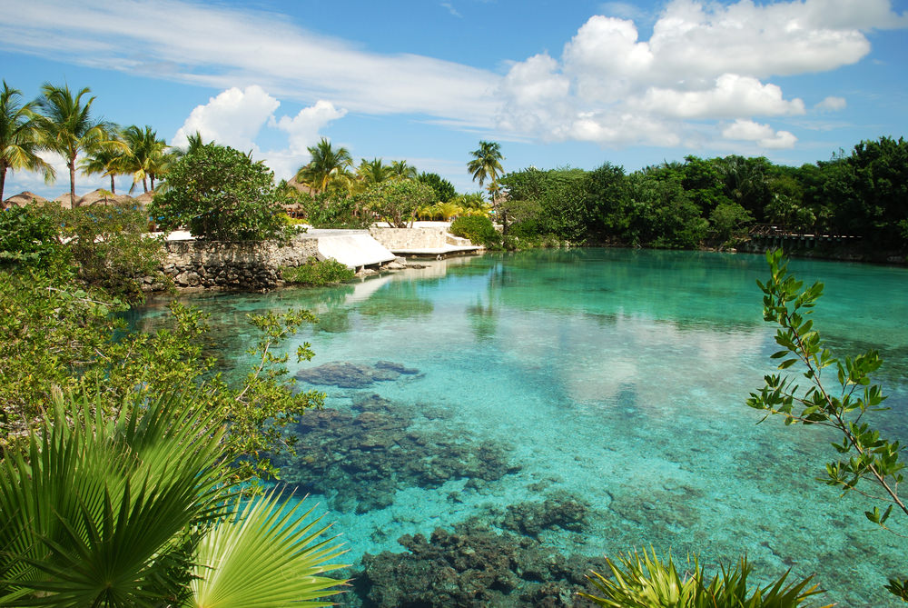 Los 3 mejores planes que hacer en Cozumel