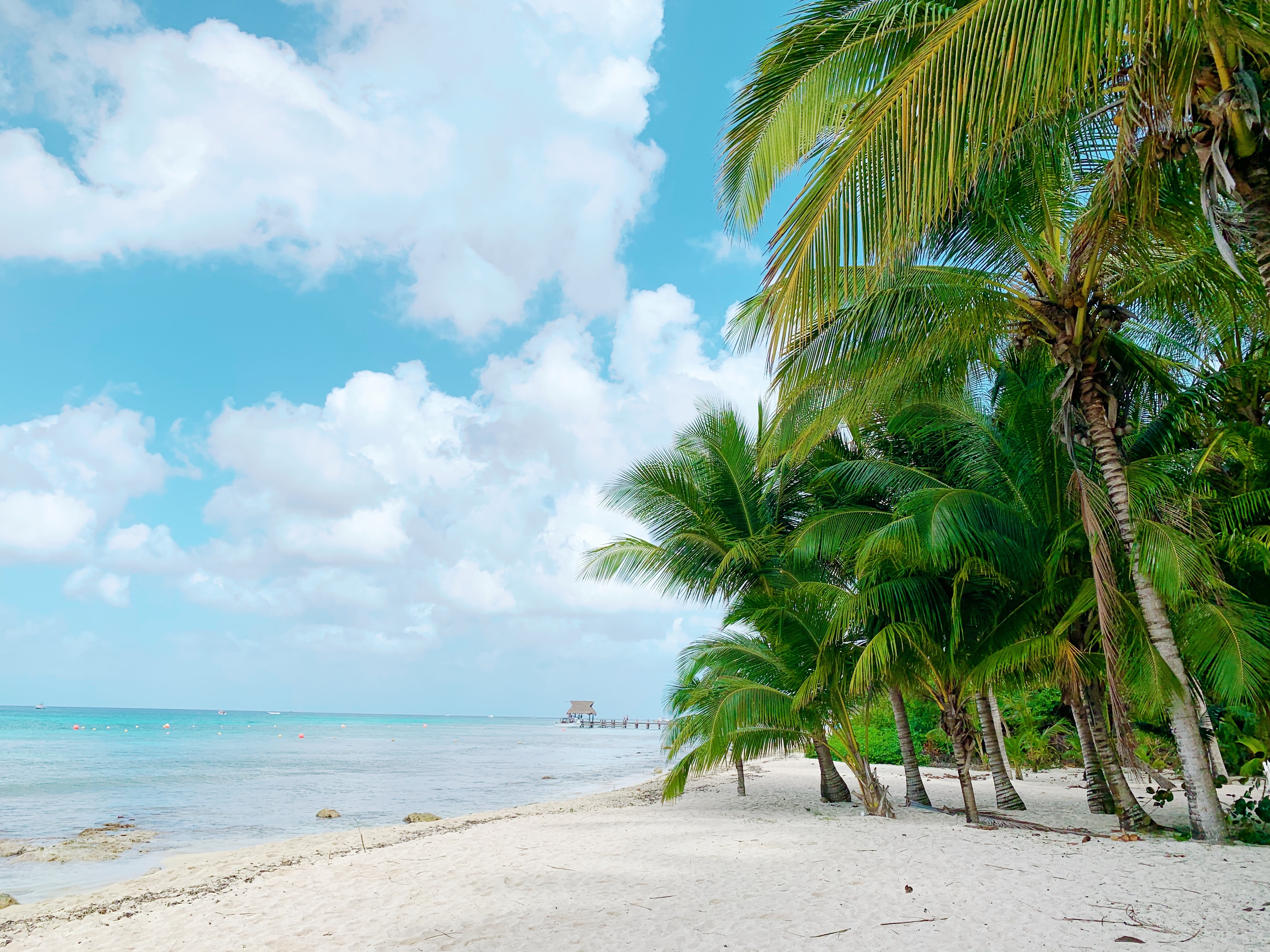 Escapada desde USA (Miami, Houston, Dallas) a Cozumel.